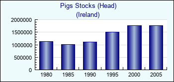 Ireland. Pigs Stocks (Head)