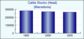Macedonia. Cattle Stocks (Head)