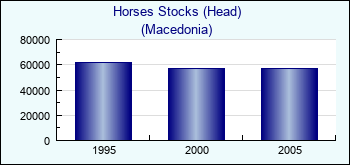 Macedonia. Horses Stocks (Head)