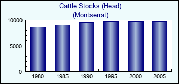 Montserrat. Cattle Stocks (Head)