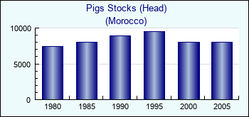 Morocco. Pigs Stocks (Head)
