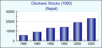 Nepal. Chickens Stocks (1000)