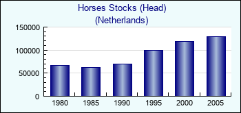 Netherlands. Horses Stocks (Head)