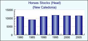 New Caledonia. Horses Stocks (Head)