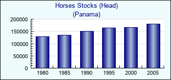 Panama. Horses Stocks (Head)