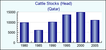 Qatar. Cattle Stocks (Head)