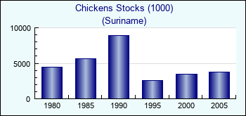 Suriname. Chickens Stocks (1000)