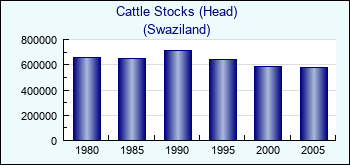 Swaziland. Cattle Stocks (Head)