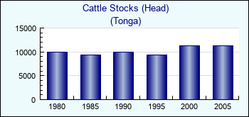 Tonga. Cattle Stocks (Head)
