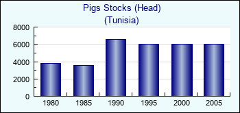 Tunisia. Pigs Stocks (Head)