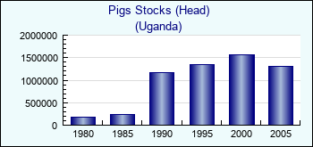 Uganda. Pigs Stocks (Head)