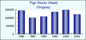 Uruguay. Pigs Stocks (Head)