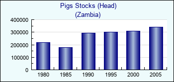 Zambia. Pigs Stocks (Head)