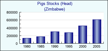 Zimbabwe. Pigs Stocks (Head)