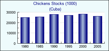 Cuba. Chickens Stocks (1000)