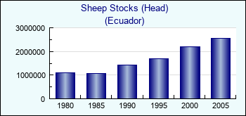 Ecuador. Sheep Stocks (Head)