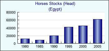 Egypt. Horses Stocks (Head)
