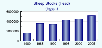 Egypt. Sheep Stocks (Head)