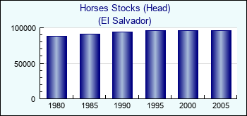 El Salvador. Horses Stocks (Head)