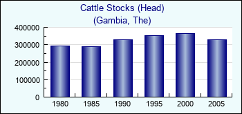 Gambia, The. Cattle Stocks (Head)