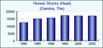 Gambia, The. Horses Stocks (Head)