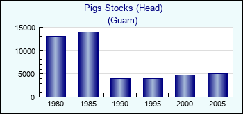Guam. Pigs Stocks (Head)