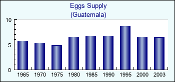 Guatemala. Eggs Supply