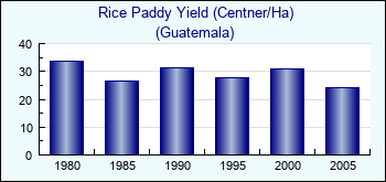 Guatemala. Rice Paddy Yield (Centner/Ha)