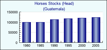 Guatemala. Horses Stocks (Head)