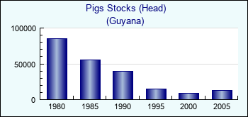 Guyana. Pigs Stocks (Head)
