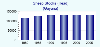 Guyana. Sheep Stocks (Head)