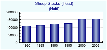 Haiti. Sheep Stocks (Head)