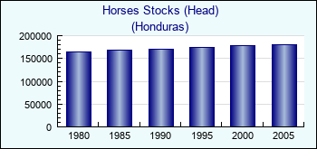Honduras. Horses Stocks (Head)