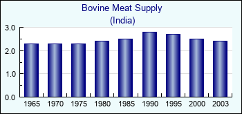 India. Bovine Meat Supply
