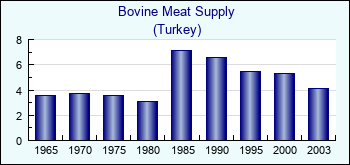 Turkey. Bovine Meat Supply