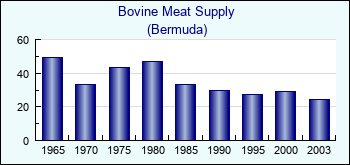 Bermuda. Bovine Meat Supply