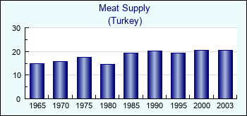 Turkey. Meat Supply