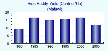 Malawi. Rice Paddy Yield (Centner/Ha)