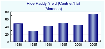 Morocco. Rice Paddy Yield (Centner/Ha)