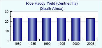 South Africa. Rice Paddy Yield (Centner/Ha)