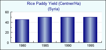 Syria. Rice Paddy Yield (Centner/Ha)