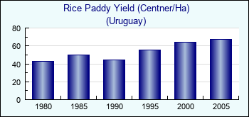 Uruguay. Rice Paddy Yield (Centner/Ha)