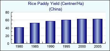 China. Rice Paddy Yield (Centner/Ha)