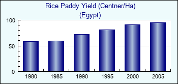 Egypt. Rice Paddy Yield (Centner/Ha)