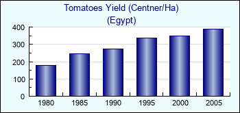 Egypt. Tomatoes Yield (Centner/Ha)