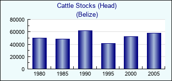 Belize. Cattle Stocks (Head)