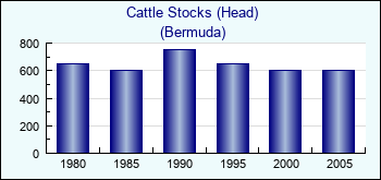 Bermuda. Cattle Stocks (Head)