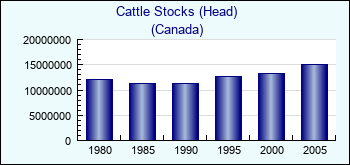 Canada. Cattle Stocks (Head)
