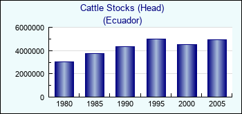 Ecuador. Cattle Stocks (Head)