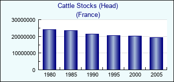 France. Cattle Stocks (Head)